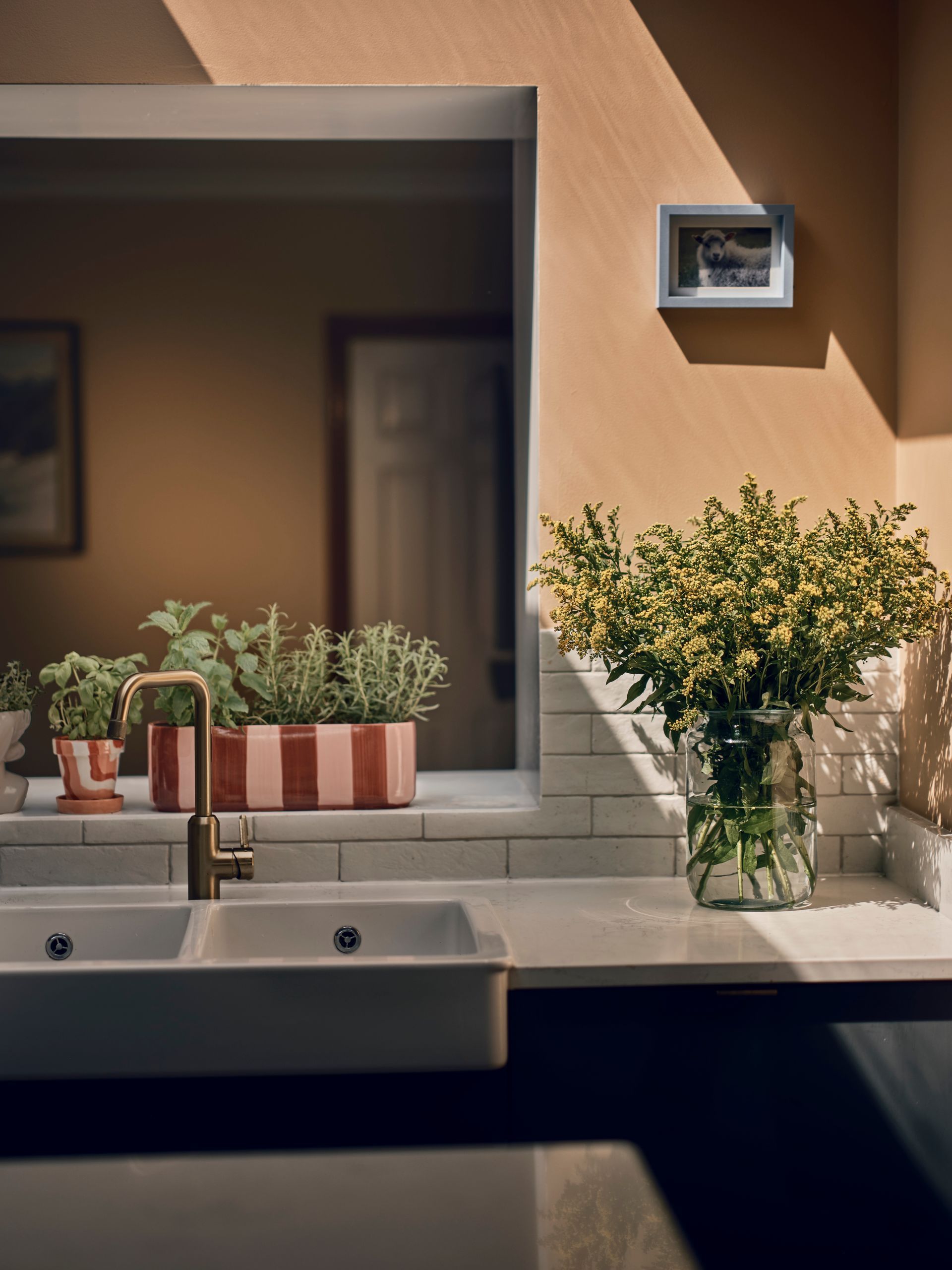 Kitchen worktop with a brass tap, striped pink herb planter and a jar of yellow flowers in warm sunlight